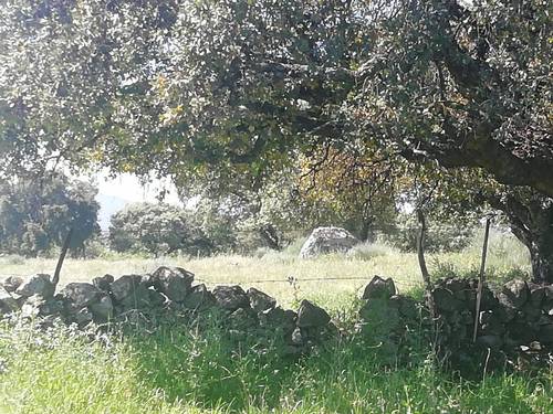 imagen 2 de Prado en las faldas de Sierra de Montánchez