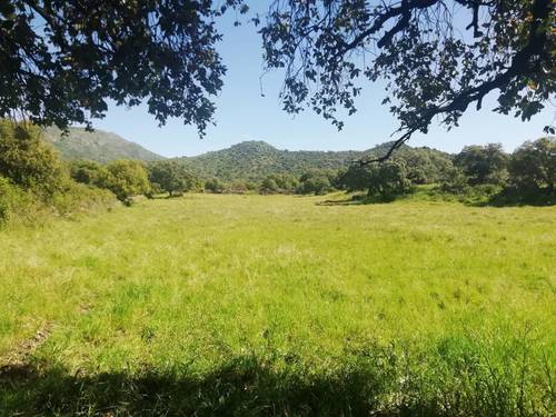 imagen 6 de Prado en las faldas de Sierra de Montánchez