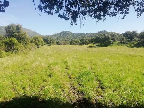 imagen 8 de Prado en las faldas de Sierra de Montánchez