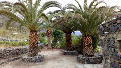 imagen 8 de Finca con Casa Rural con Encanto en Buenavista del Norte, Tenerife