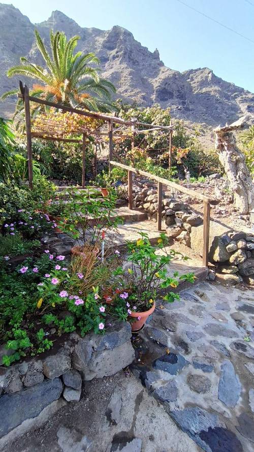 imagen 14 de Finca con Casa Rural con Encanto en Buenavista del Norte, Tenerife