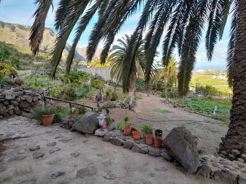 imagen 15 de Finca con Casa Rural con Encanto en Buenavista del Norte, Tenerife