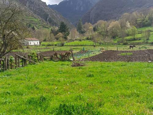 imagen 16 de Finca con cabaña