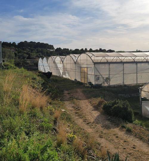 imagen 6 de FINCA AGRÍCOLA VILANOVA I LA GELTRÚ