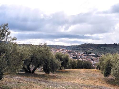 imagen 3 de Proyecto Ecoturismo Rural con cabañas en Granada