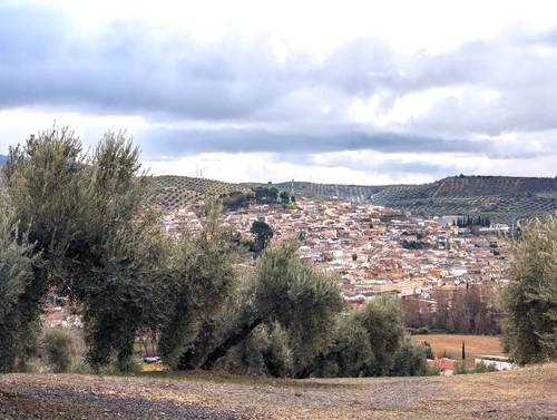 imagen 1 de Proyecto Ecoturismo Rural con cabañas en Granada