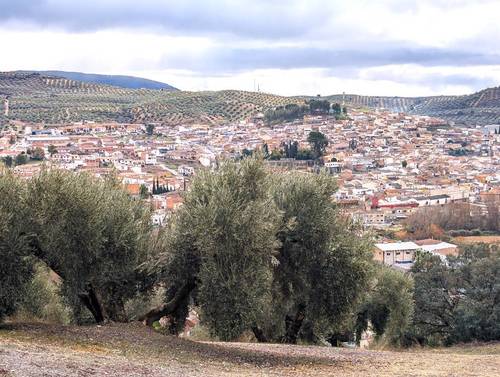 imagen 1 de Proyecto Ecoturismo Rural con cabañas en Granada