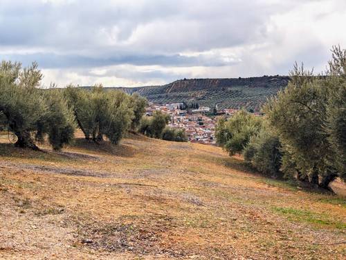 imagen 2 de Proyecto Ecoturismo Rural con cabañas en Granada