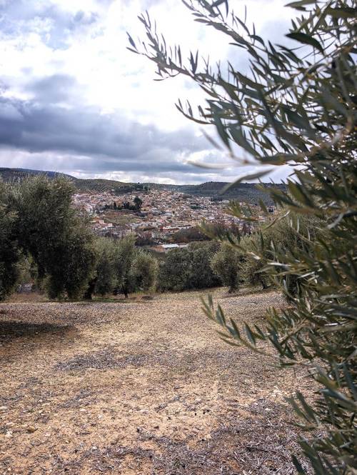 imagen 4 de Proyecto Ecoturismo Rural con cabañas en Granada