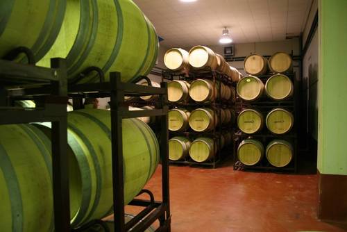 imagen 5 de Vendo bodega con viñedos en la  D.O. Ribera de Duero