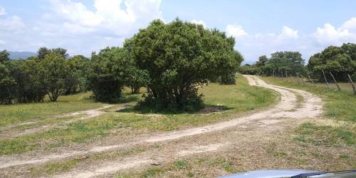 imagen 1 de Estupenda finca cerca de Madrid