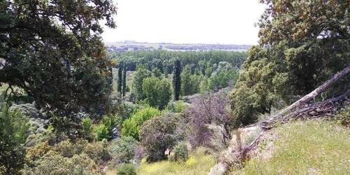 imagen 10 de Estupenda finca cerca de Madrid