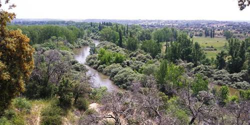 imagen 16 de Estupenda finca cerca de Madrid