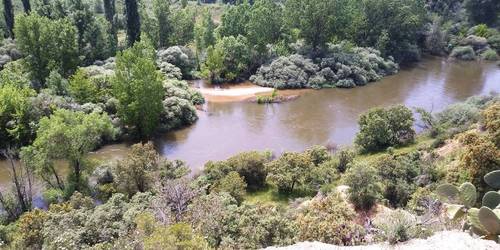 imagen 17 de Estupenda finca cerca de Madrid