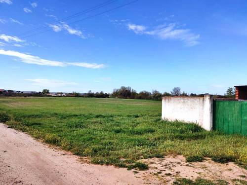 imagen 2 de FINCA DE REGADIO EN TALAVERA DE LA REINA