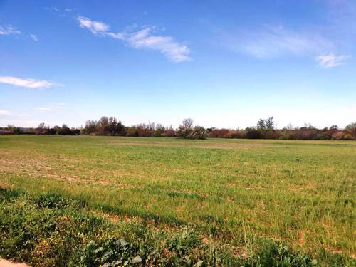 imagen 1 de FINCA DE REGADIO EN TALAVERA DE LA REINA