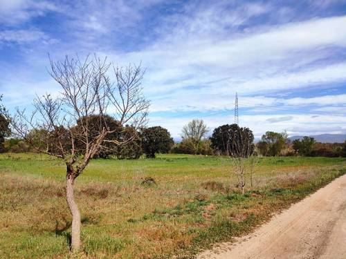 imagen 4 de FINCA DE REGADIO EN TALAVERA DE LA REINA