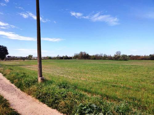 imagen 5 de FINCA DE REGADIO EN TALAVERA DE LA REINA