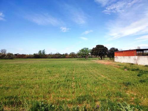 imagen 9 de FINCA DE REGADIO EN TALAVERA DE LA REINA