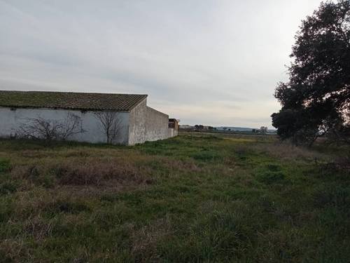 imagen 14 de FINCA DE REGADIO EN TALAVERA DE LA REINA