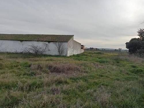 imagen 20 de FINCA DE REGADIO EN TALAVERA DE LA REINA