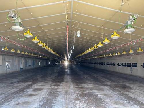 imagen 2 de Venta granjas de pollos