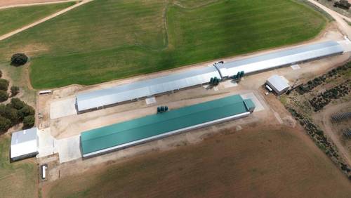 imagen 1 de Venta granjas de pollos