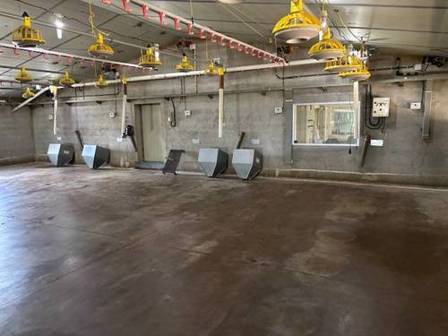 imagen 3 de Venta granjas de pollos