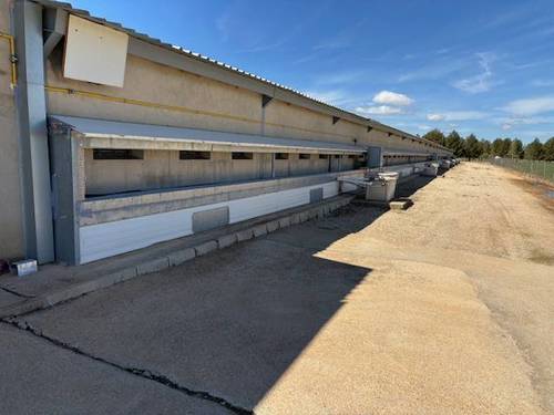 imagen 6 de Venta granjas de pollos