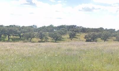 imagen 1 de Finca Rustica