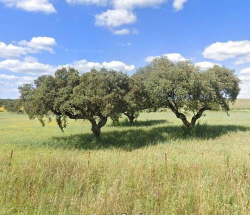 imagen 1 de Finca Rustica