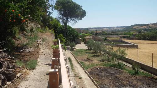 imagen 5 de Hort del Padri