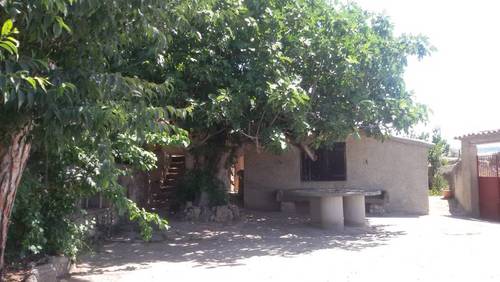 imagen 8 de Hort del Padri