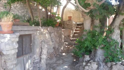 imagen 9 de Hort del Padri