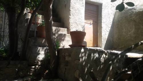 imagen 12 de Hort del Padri