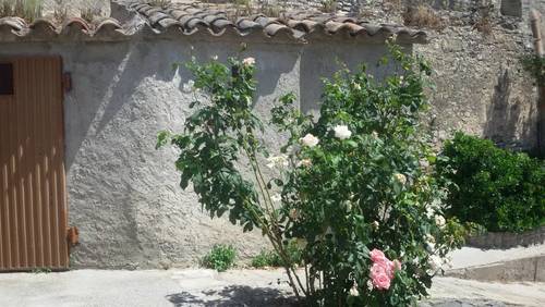 imagen 10 de Hort del Padri