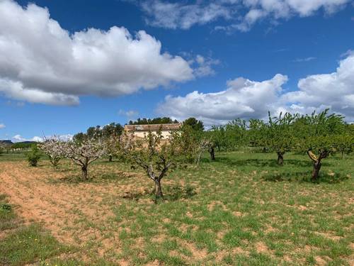 imagen 9 de MASÍA EN VENTA