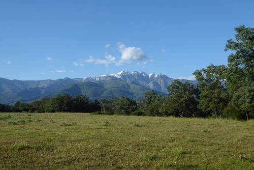 imagen 8 de En La Vera
