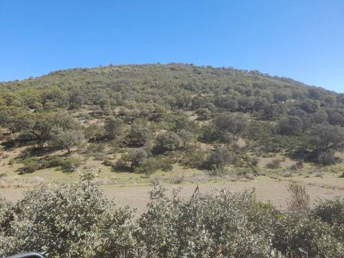 imagen 2 de Finca Chuscarra Coto de caza