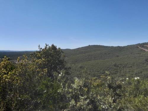 imagen 3 de Finca Chuscarra Coto de caza