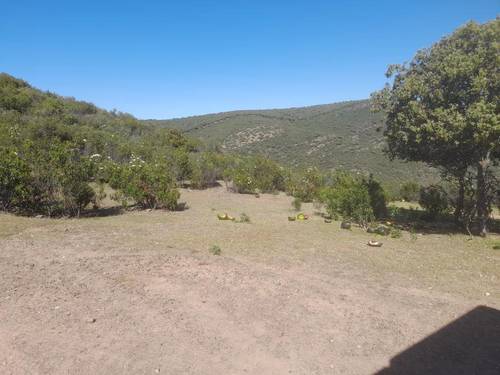 imagen 4 de Finca Chuscarra Coto de caza