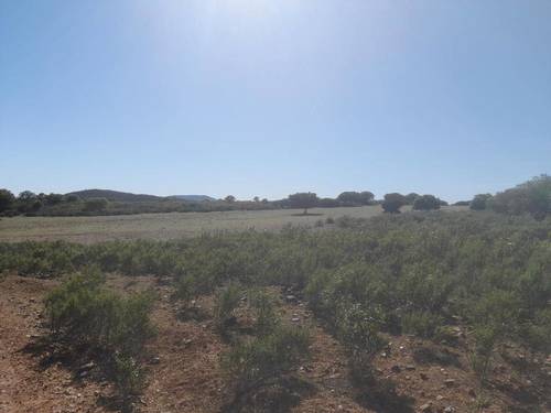 imagen 5 de Finca Chuscarra Coto de caza