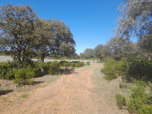 imagen 8 de Finca Chuscarra Coto de caza