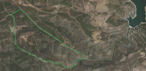 imagen 9 de Finca Chuscarra Coto de caza