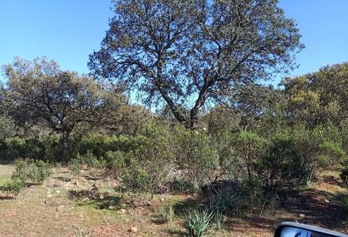imagen 15 de Finca Chuscarra Coto de caza