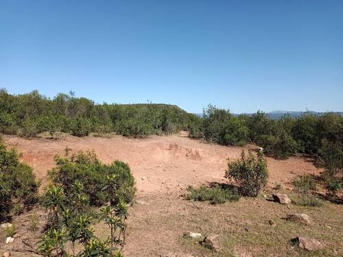 imagen 17 de Finca Chuscarra Coto de caza
