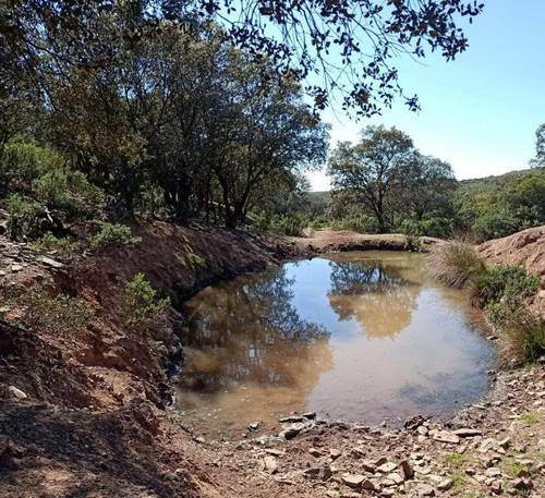 imagen 18 de Finca Chuscarra Coto de caza