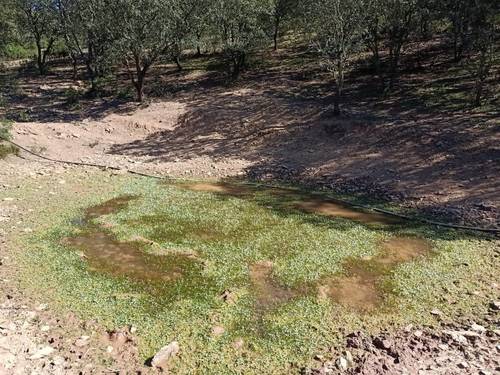 imagen 20 de Finca Chuscarra Coto de caza