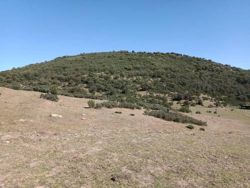 imagen 21 de Finca Chuscarra Coto de caza