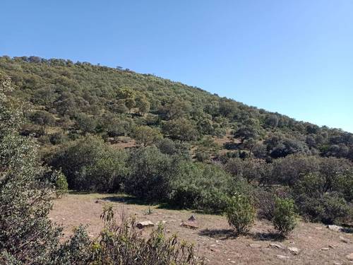 imagen 25 de Finca Chuscarra Coto de caza